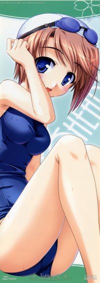 BUY NEW to heart - 124685 Premium Anime Print Poster